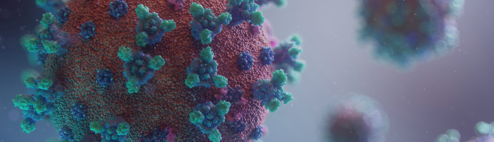 Coronavirus: Flattening the curve