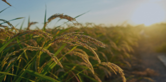 Landmark Reforms in Indian Agriculture