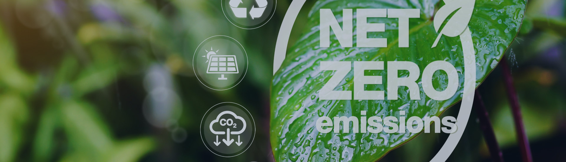 Financing the Green Transition