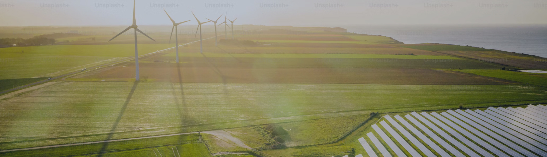 Fiscal considerations of the Green transition