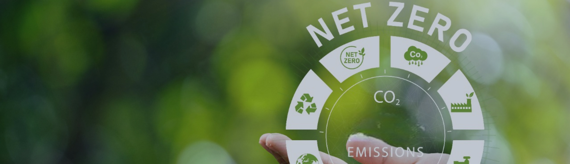 Net Finance – A companion to Net Zero
