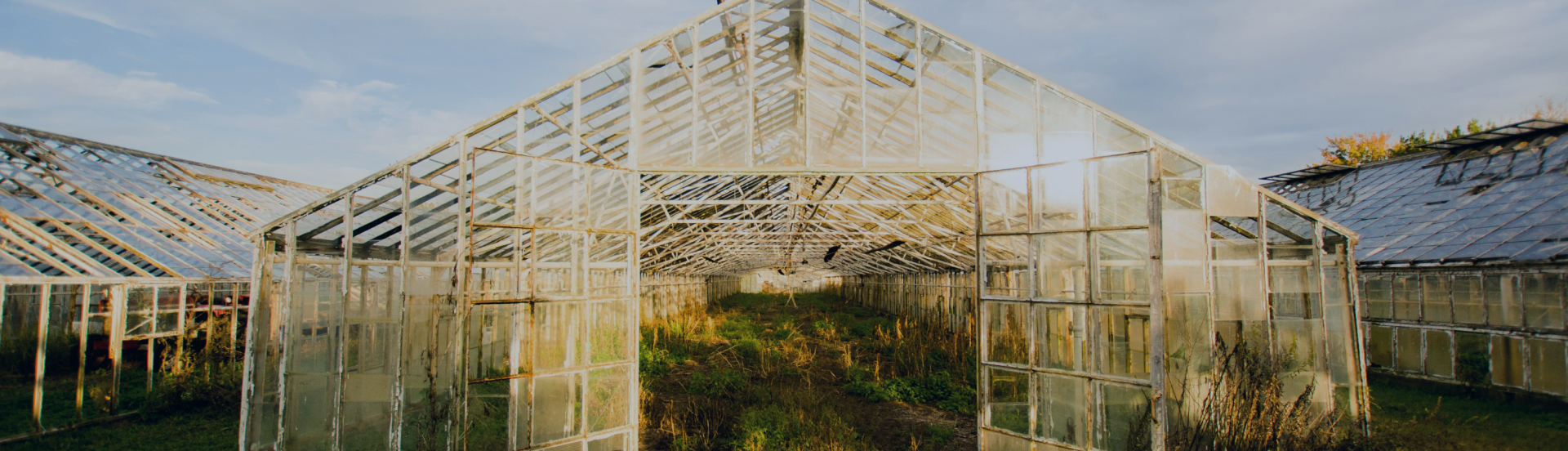 Reducing greenhouse gasses: Pathways to achieving the objective